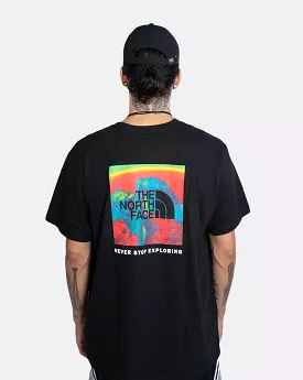 The North Face S/S PT Box NSE Tee NF0A7ZWIA68